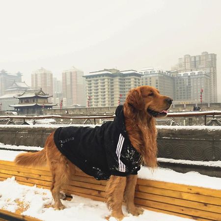 Jano'S Backpackers Xi'An Hostel Xi'an  Exterior photo